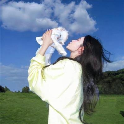 间谍的灵魂国语